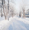 Winter park, snow-covered landscape Royalty Free Stock Photo
