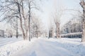 Winter park, snow-covered landscape Royalty Free Stock Photo