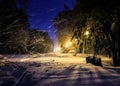 Winter park in snow. fantastic wintry landscape. frosty evening Royalty Free Stock Photo