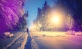 Winter park in snow. fantastic wintry landscape. frosty evening in city park. snow covered trees glowing in light lantern. Royalty Free Stock Photo