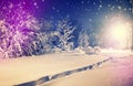 Winter park in snow. fantastic wintry landscape. frosty evening in city park. Royalty Free Stock Photo