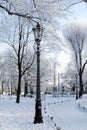 winter Park, snow, lamppost, trees, pathway in Park