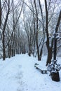 Winter Park in Snow Royalty Free Stock Photo