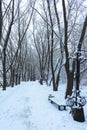 Winter Park in Snow Royalty Free Stock Photo