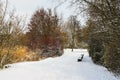 Winter In Park, Snowy Footpath, Colored Snowy Trees