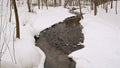 Winter park stream brook creek flow people walk path