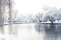 Winter park, trees and a bench covered with snow, the river is covered with ice Royalty Free Stock Photo