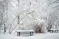 Winter park, trees and a bench covered with snow Royalty Free Stock Photo