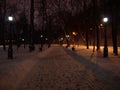Winter park under the night illumination. Night city lights Royalty Free Stock Photo