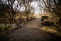 Winter passage in the park