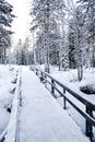 Winter path Royalty Free Stock Photo