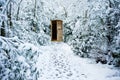 Winter path through forest with secret door Royalty Free Stock Photo