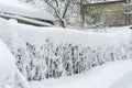 Winter path with frozen trees. Snow-covered street. Vehicles are completely covered in snow. Cold winter weather Royalty Free Stock Photo