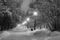 Winter path in the park brought by snow Royalty Free Stock Photo