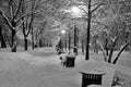 Winter path in the park brought by snow Royalty Free Stock Photo