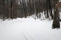 Winter path park. An empty road without people.