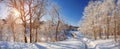 Winter path on sunny day Royalty Free Stock Photo