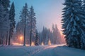 Winter pathway illuminated with warm Christmas light accents Royalty Free Stock Photo