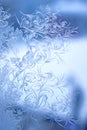 Winter pattern on glass. Frost. Winter draws patterns. Frosted window Royalty Free Stock Photo