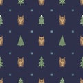 Winter pattern - varied Xmas trees, owls and snowflakes. Simple seamless Happy New Year background. Royalty Free Stock Photo