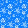 Winter pattern with various falling snowflakes Royalty Free Stock Photo