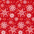 Winter pattern with various falling snowflakes Royalty Free Stock Photo