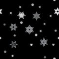 Winter pattern with various falling snowflakes. Royalty Free Stock Photo