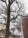 winter in Pavlovsky Park snow trees frozen river Royalty Free Stock Photo