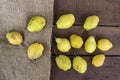 Winter pear pictures, natural and organic winter pear pictures Royalty Free Stock Photo