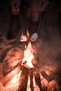 Winter picnic on baech with bonfire. Love story on winter foggy sand beach. fry marshmallows at the stake Royalty Free Stock Photo