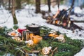 Winter picnic in the snow near by campfire. Christmas garlands on fir branches