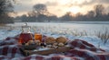 Winter picnic sunset tea, pastries, snowy field Royalty Free Stock Photo