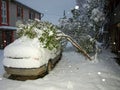 Picture with snow covered car. A snowy tree fell on the car. White snow covered the courtyard