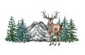 Winter pine forest and mountains landscape, watercolor painting. Deer and spruce trees scene, Christmas background Royalty Free Stock Photo