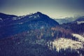 Winter pine mountain forest. Fresh snow on the trees. Royalty Free Stock Photo