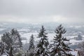 Winter pine tree branches covered with snow against the background of a small village and snowy hills. Frozen tree branch in Royalty Free Stock Photo