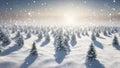 Winter pine tree forest covered with snow at sunrise, aerial view. Royalty Free Stock Photo