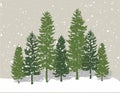 Winter pine trees Royalty Free Stock Photo