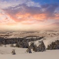 Winter plain with forest in a snow