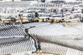 Winter in Piemont, Italy, snowy vineyards Royalty Free Stock Photo