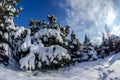 Winter in Poland