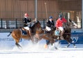 Winter polo match Royalty Free Stock Photo