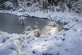Winter pond covered with silver ice. The sun magically glides over the ice. Selective focus