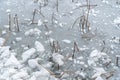 In winter the pond water is frozen with white ice Royalty Free Stock Photo