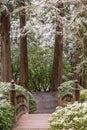 Winter in Portland Japanese Garden Royalty Free Stock Photo