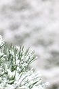 Winter in Portland Japanese Garden Royalty Free Stock Photo