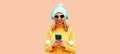 Winter portrait of happy smiling woman looking at smartphone in headphones listening to music wearing yellow knitted sweater, Royalty Free Stock Photo