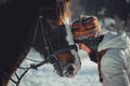 Winter portrait of teen girl with horse Royalty Free Stock Photo