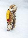 Winter portrait of a 4 year old child with a tricky smile in yellow warm clothes, red mittens and oversized hat which look like Royalty Free Stock Photo