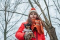 Winter portrait of young girl in her warm clothing. Teenage girl in orange hat. Chihuahua with girl